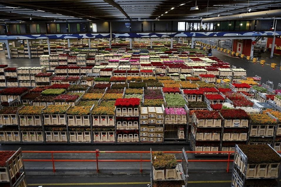 Temperature Controlled Warehouse